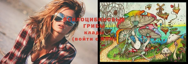 ГАЛЛЮЦИНОГЕННЫЕ ГРИБЫ Михайловка